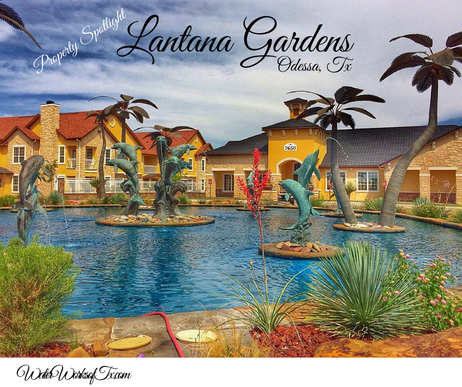 Multifamily Paradise Living At Lantana Gardens In Odessa Water